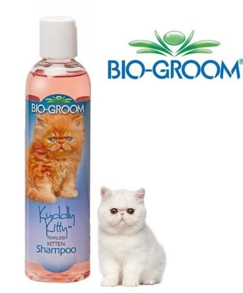 Bio Groom šampoon kassipoegadele