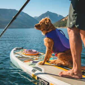 Ruffwear koera päästevest Float Coat Life