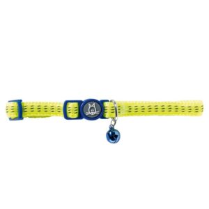 Hunter kassi kaelarihm Turin