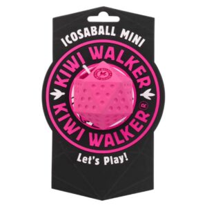 Kiwi Walker Let’s Play! Icosaball