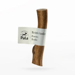 Pala põhjapõdrasarv