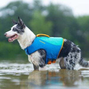 Ruffwear Float Coat Life koera päästevest