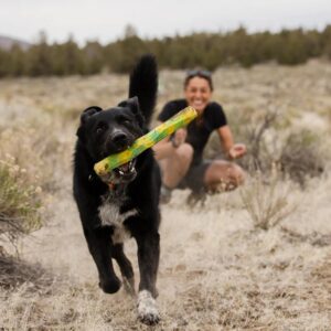 Ruffwear viskemängudeks vees ja maapeal Gnawt-a-Stick koera mänguasi