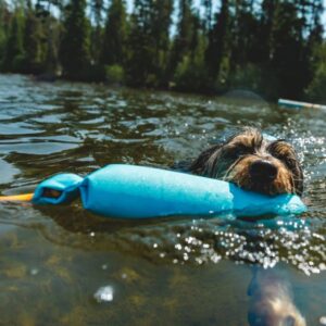 Ruffwear ujuv sikutamise mänguasi Lunker™