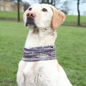 SCRUFFS putukaid tõrjuv torusall Insect Shield