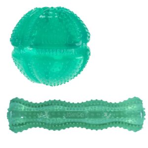 KONG hammaste puhastamiseks Squeezz Dental