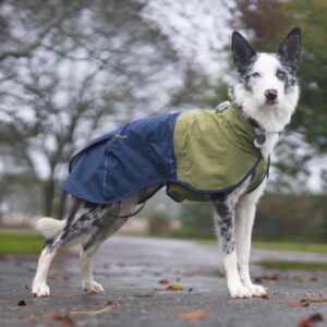 Ruffwear Vee ja tuulekindel vihmajope Sun Shower™ koera jope