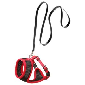 Flamingo kassi trakside ja rihma komplekt