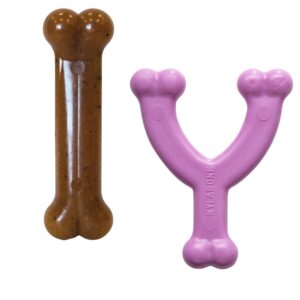 Nylabone kustikate mänguasi hammaste vahetumise ajaks Puppy kana