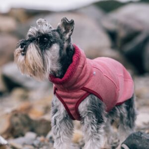 Hurtta jakk koerale Razzle-Dazzle