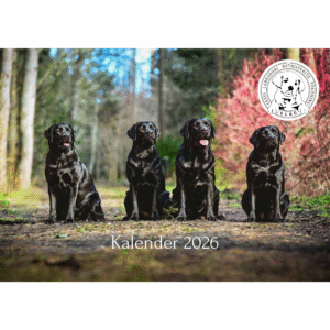 Labradori retriiverite seinakalender ELRÜ 2026