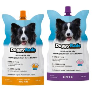 Isotooniline energiajook probiootikumidega koertele DoggyRade