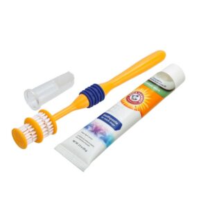 Arm & Hammer 360° hambahoolduskomplekt