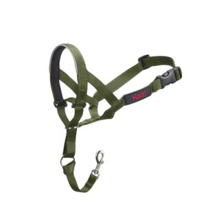 Halti koonurihm uuem mudel roheline