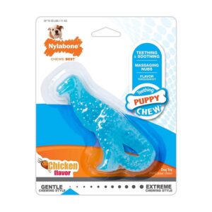 Nylabone kutsika närimismänguasi dinosaurus S kanamaitseline