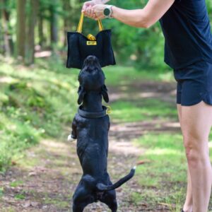 CanisLab Bull Pillow sikutamismänguasi