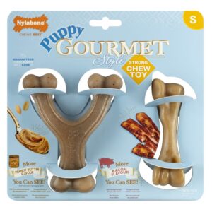Nylabone kutsikate närimismänguasi Puppy Gourmet Twin Pack S