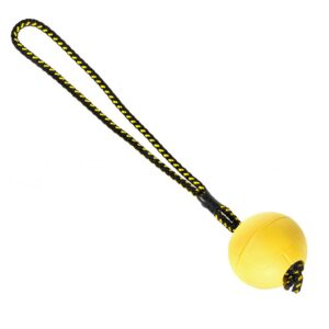 Dingo magneti ja nöörist käepidemega kummipall