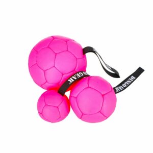 Dingo ökonahast täidisega pall käepidemega