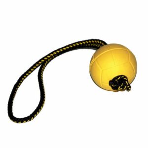 Dingo pehme kummipall 70mm 30cm käepidemega