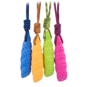 Kiwi Walker Let's play! Seashell