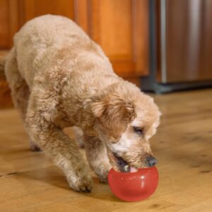 Outward Hound Lil Snoop maiustega täidetav pall