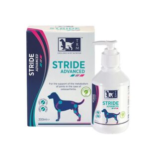 Stride Advanced 500ml