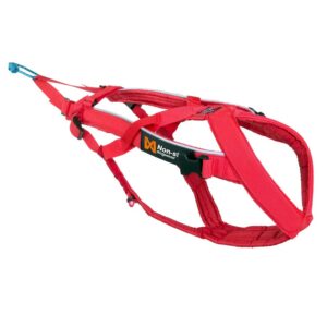 Non stop rakmed Combined harness