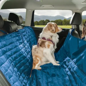 Kurgo auto istmekate tagumisele istmele Loft Hammock