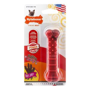 Nylabone Extreme Textured Beef Jerky Bone - tekstuurne veiselihamaitseline närimiskont koerale