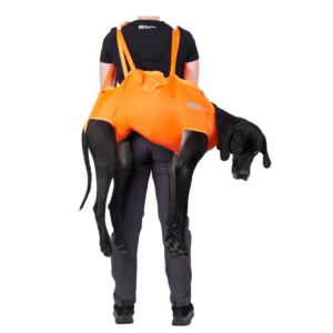 Non stop koerakandekott Oranž