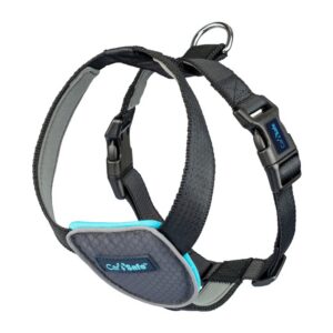 CarSafe Dog Travel traksid autosse mustad