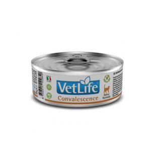 Farmina toiteliseks taastumiseks konserv kassile VetLife Feline Convalescence