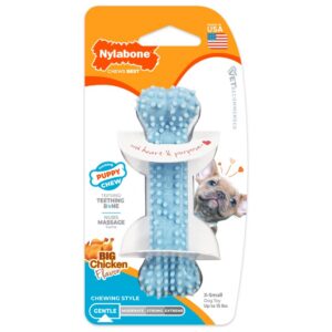 Nylabone närimismänguasi kutsikatele Puppy Chew Dental XS