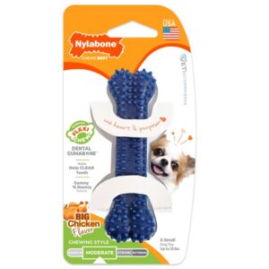 Nylabone närimise mänguasi Dental Chew Bone Chicken