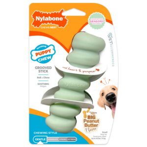 Nylabone närimispulk kutsikatele Puppy Chew Tactile Stick Peanut Butter