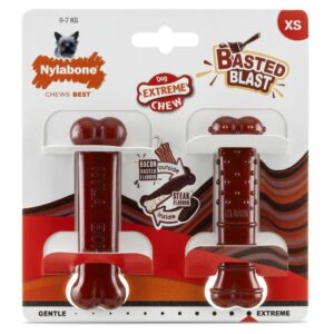 Nylabone väikesele koerale kahemaitseline kont (peekon ja steik) Power Chew Basted Bone 2 tk