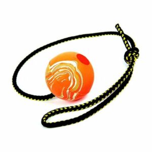 DIngo nööriga treeningpall Retrieving Ball 'M' with Rope 60CM Smooth