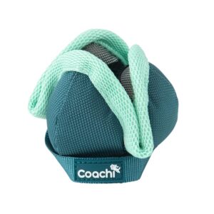 Coachi tagaajamismänguasi Puppy & Mini Chase & Treat Teal & Mint